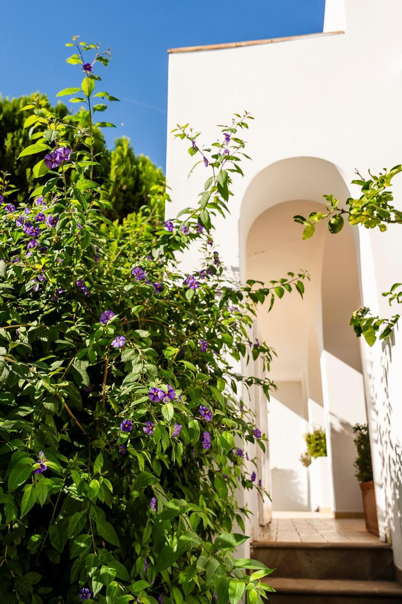 Hotel Senaria أناكابْري المظهر الخارجي الصورة
